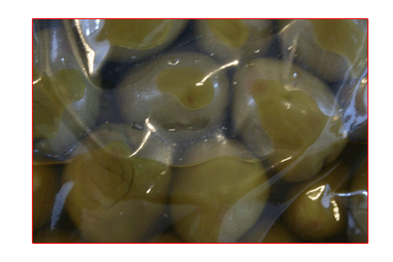 Green Manzanilla Whole Olives (One 5lb Bag)